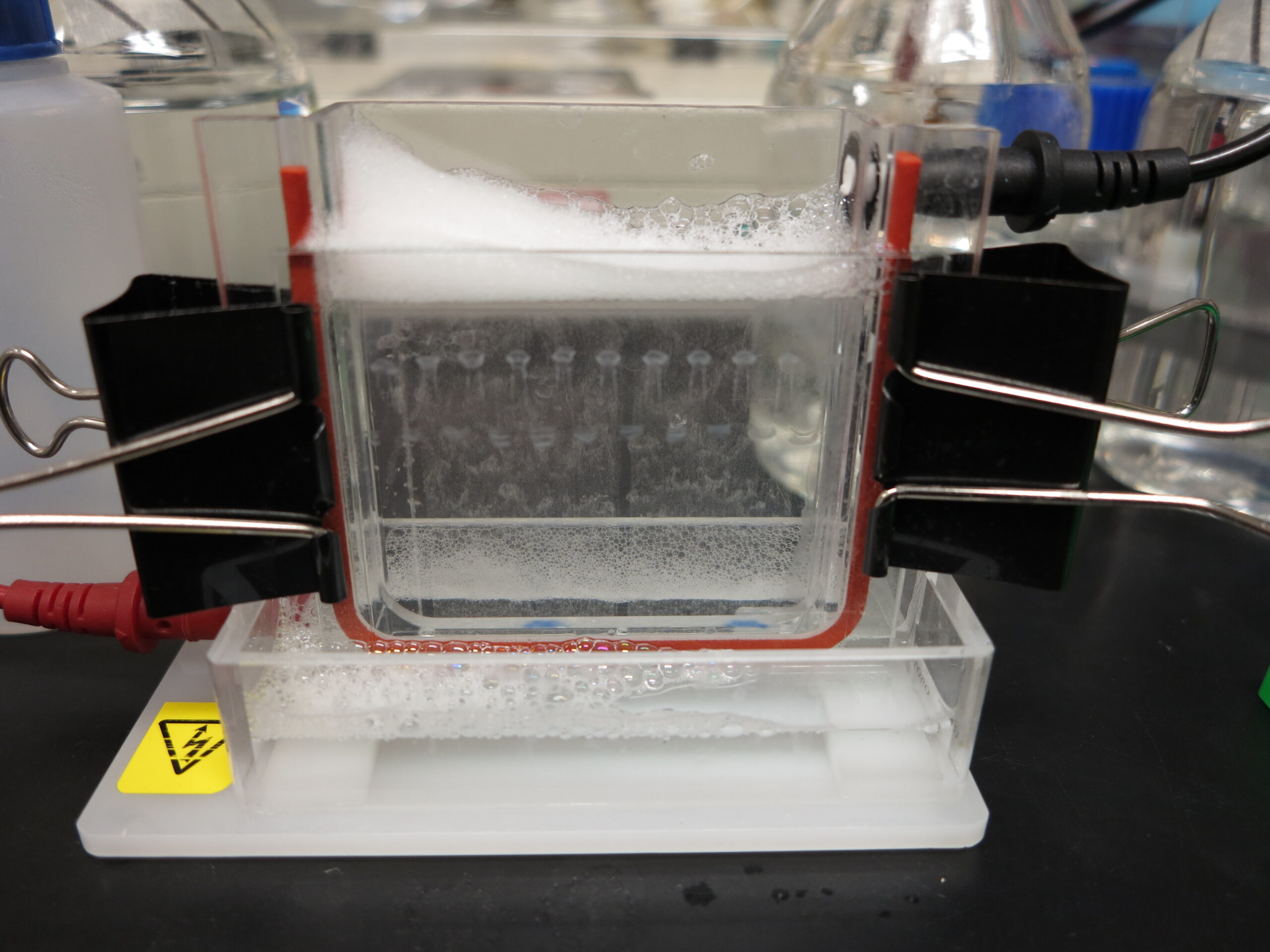 走るDNAの速度は何に依存する？